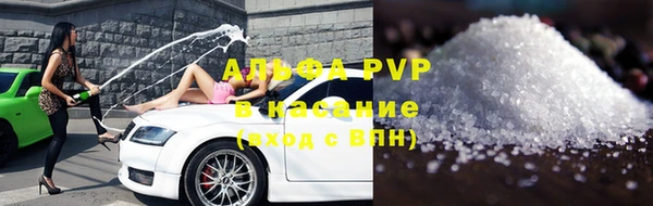 прущие грибы Новодвинск