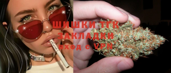 прущие грибы Новодвинск