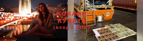 прущие грибы Новодвинск