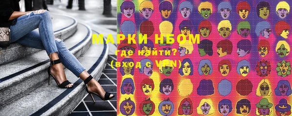 прущие грибы Новодвинск