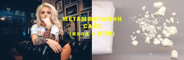 прущие грибы Новодвинск