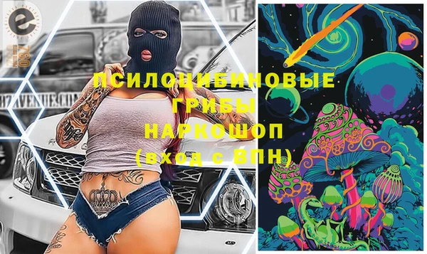 прущие грибы Новодвинск