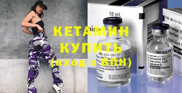 прущие грибы Новодвинск