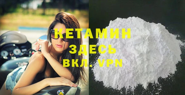 прущие грибы Новодвинск