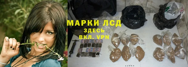 прущие грибы Новодвинск