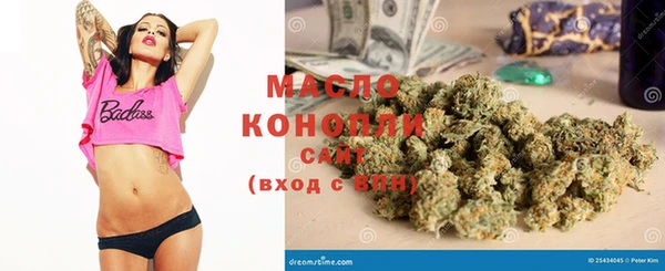 прущие грибы Новодвинск