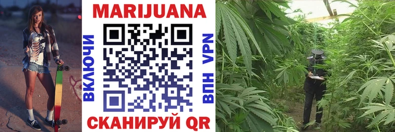Бошки марихуана Bruce Banner  где найти   Нижний Ломов 